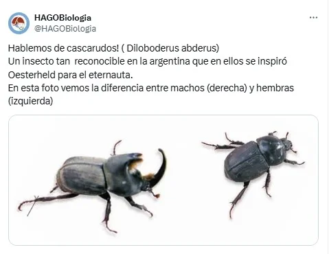 El Eternauta, insectos, Netflix, Oesterheld